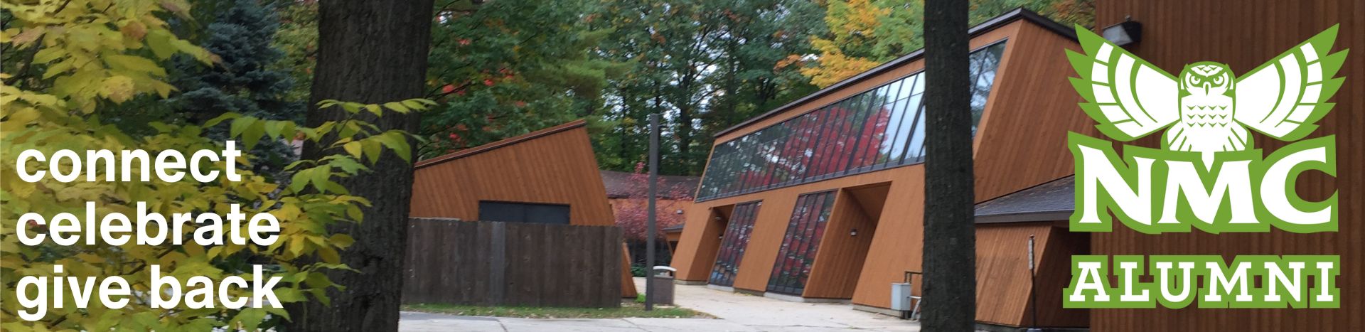 A view of the pine trees on NMC's main campus