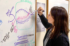 NMC photo of a biology program student drawing on a whiteboard