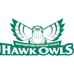 Hawk Owl main logo