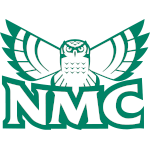 Hawk Owl secondary logo