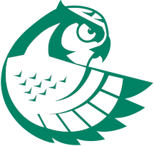 NMC hawkowl logo