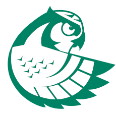 Hawk Owl logo