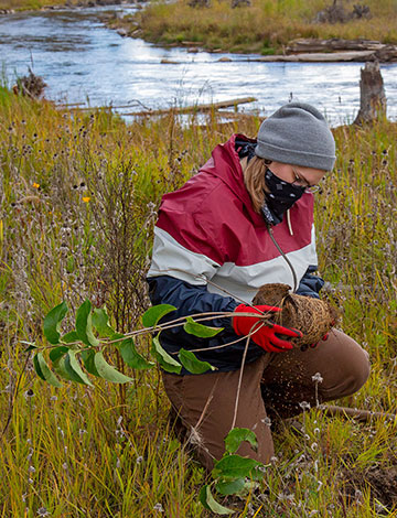 Student plants tree near Boardman River