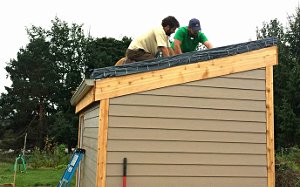 Community garden shed