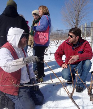 Viticulture student Kurtis Berry