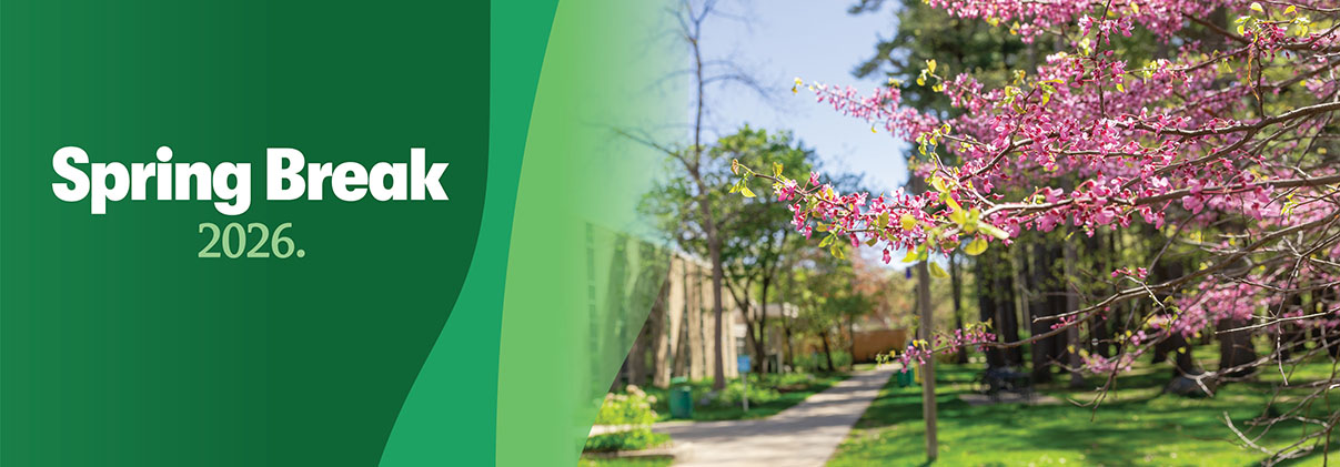 Dogwood trees flowering on NMC's Front Street campus