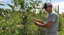 Plant Science program