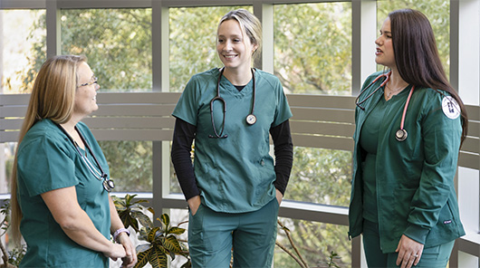 Nursing program