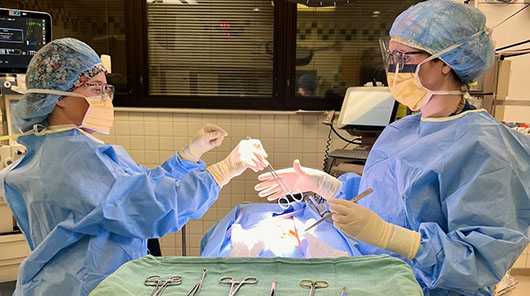 Surgical Technology program