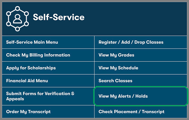 Student self-service menu screenshot