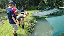 NMC students on a Costa Rica study abroad trip