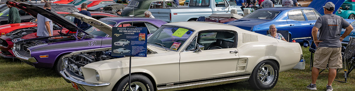 Photo of Classic Car & Truck Show entrants