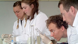 Costa Rica study group students testing water