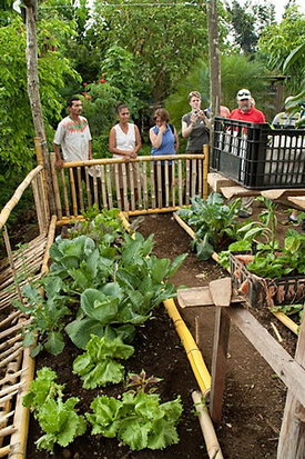 2011 Costa Rica water management internship program