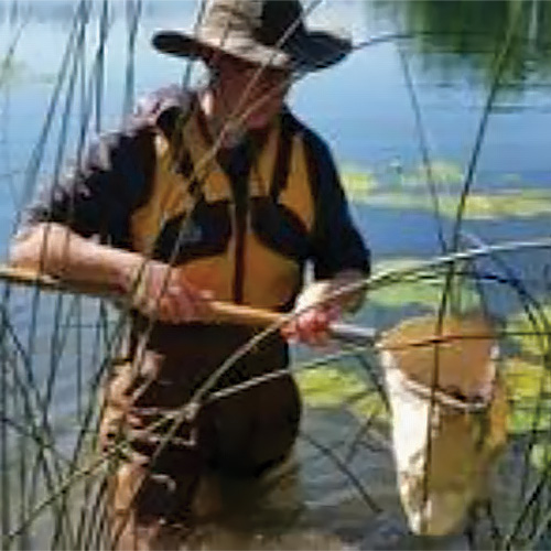 NMC Freshwater Studies Program student sampling lake water