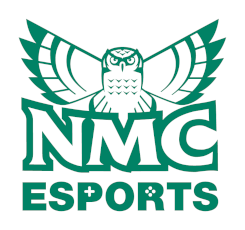 An NMC Varsity Esports program team member takes part in a competition