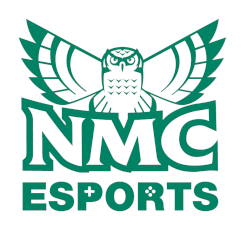 An NMC Varsity Esports program team member plays a sports game